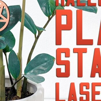 Intra απο ξύλο plywood 3mm-4mm πάχος - Halloween Plant Stakes Cut Laser Δίασταση 15x15 cm INTRAFABR-75902312 - Image 5