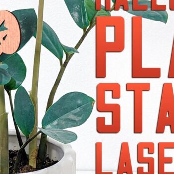 Intra απο ξύλο plywood 3mm-4mm πάχος - Halloween Plant Stakes Cut Laser  Δίασταση 15x15 cm INTRAFABR-75902703 - Image 1