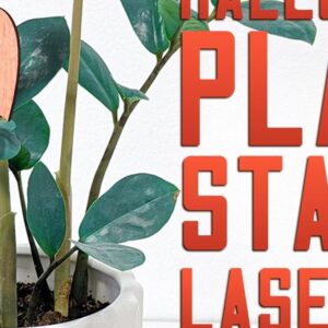 Intra απο ξύλο plywood 3mm-4mm πάχος - Halloween Plant Stakes Cut Laser  Δίασταση 15x15 cm INTRAFABR-75902778