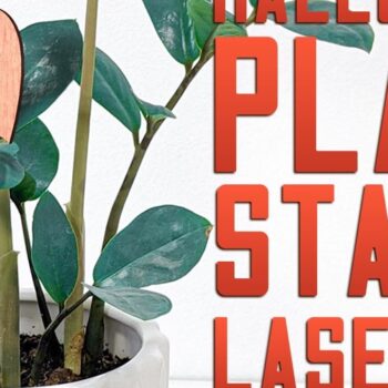 Intra απο ξύλο plywood 3mm-4mm πάχος - Halloween Plant Stakes Cut Laser  Δίασταση 15x15 cm INTRAFABR-75902778 - Image 1