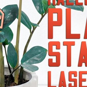 Intra απο ξύλο plywood 3mm-4mm πάχος - Halloween Plant Stakes Cut Laser  Δίασταση 15x15 cm INTRAFABR-75902806