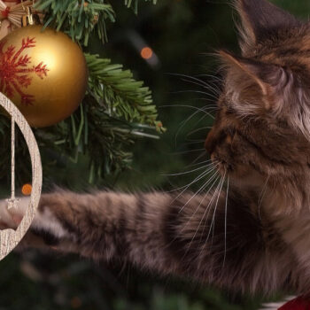 Intra απο ξύλο plywood  Χρώμα wenge 3mm-4mm πάχος - Στολίδι Χριστουγεννιάτικου Δέντρου με Δίασταση 6x6 cm INTRAFABR-63181414 - Image 2