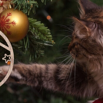 Intra απο ξύλο plywood  Χρώμα wenge 3mm-4mm πάχος - Στολίδι Χριστουγεννιάτικου Δέντρου | Δίασταση 6x6 cm INTRAFABR-100873382 - Image 2