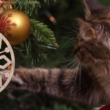 Intra απο ξύλο plywood  Χρώμα wenge 3mm-4mm πάχος - Στολίδι Χριστουγεννιάτικου Δέντρου με Δίασταση 6x6 cm INTRAFABR-100966803 - Image 2