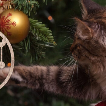 Intra απο ξύλο plywood  Χρώμα wenge 3mm-4mm πάχος - Στολίδι Χριστουγεννιάτικου Δέντρου Δίασταση 6x6 cm INTRAFABR-76152408 - Image 2