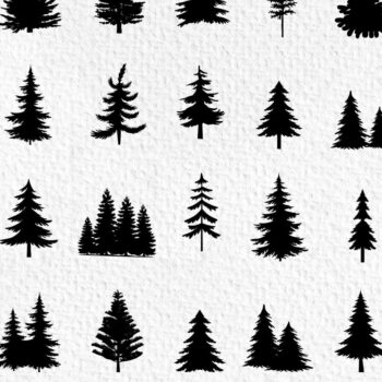 Intra απο ξύλο plywood Χρώμα wenge 3mm-4mm πάχος - Χριστουγεννιάτικο Δέντρο Bundle, Pine Tree Δίασταση 6x6 cm INTRAFABR-107494916 - Image 1