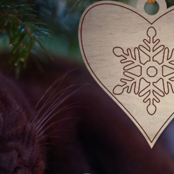 Intra απο ξύλο plywood  Χρώμα wenge 3mm-4mm πάχος - Στολίδι χρωματισμού Πακέτο μονής γραμμής Δίασταση 6x6 cm INTRAFABR-61351219 - Image 4