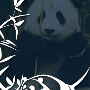 Intra απο ξύλο plywood  Χρώμα wenge 3mm-4mm πάχος - Cricut Panda με Bamboo Bundle Δίασταση 20x20 cm INTRAFABR-60313805 - Image 2