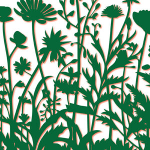 Intra απο ξύλο plywood 3mm-4mm πάχος - Πακέτο  με χαρτί Cricut Cut Wild Flowers Δίασταση 30x20 cm INTRAFABR-89285305
