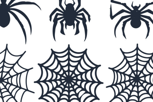 1758695293_Cricut-Spiderweb-SVG-Bundle-Graphics-102637138-1-1