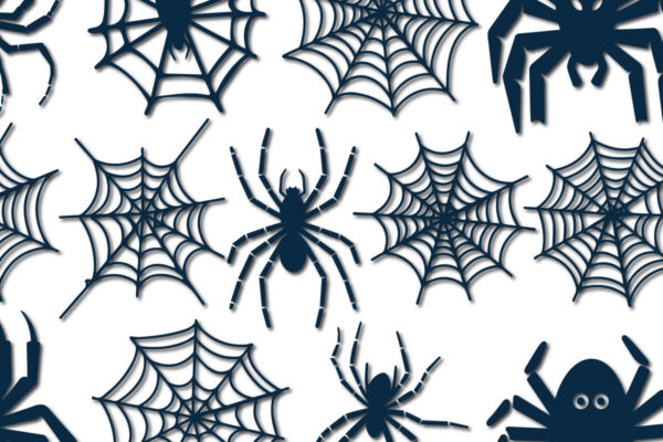 1758695296_Cricut-Spiderweb-SVG-Bundle-Graphics-102637564-1-1