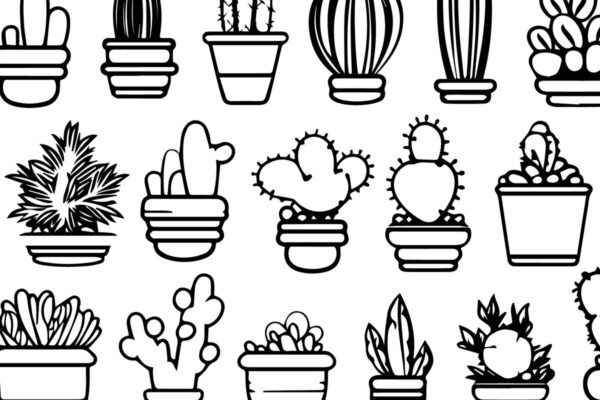 1758695320_Cricut-SUCCULENTS-SVG-Cut-File-Bundle-Graphics-89522904-1-1