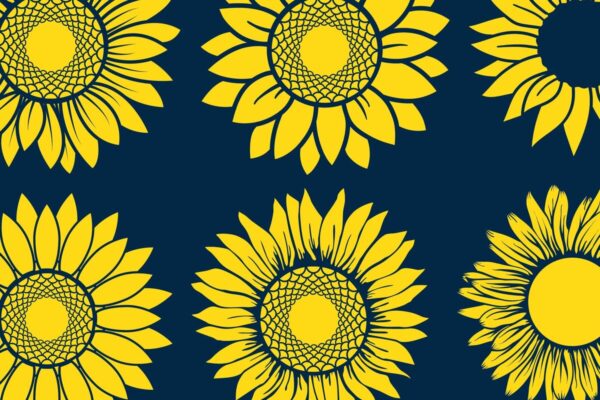 1758695332_Cricut-sunflower-paper-cut-svg-bundle-Graphics-77743645-1-1