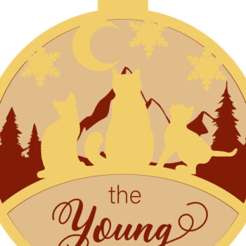 Intra απο ξύλο plywood  Χρώμα wenge 3mm-4mm πάχος - ΠΡΟΣΑΡΜΟΣΜΕΝΑ ΣΧΕΔΙΑ ΧΡΙΣΤΟΥΓΕΝΝΙΑΤΙΚΑ ΟΙΚΟΓΕΝΕΙΑΚΑ ΜΠΙΜΠΛΕΣ Δίασταση 15x3 cm INTRAFABR-114633184 - Image 9