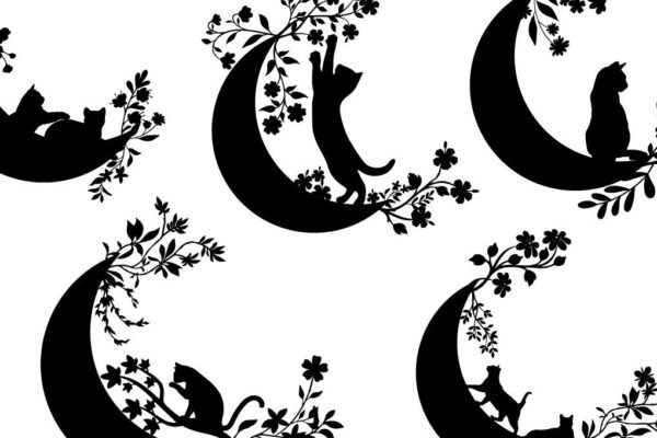 1758697817_cute-cat-flower-moon-wildflower-design-Graphics-76459343-1-1