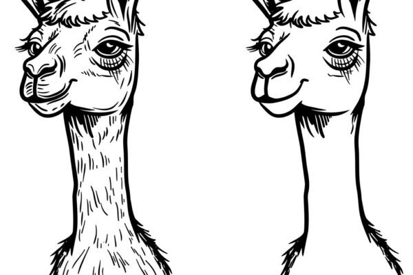 1758698500_Cute-Llama-Vector-Engraving-SVG-Graphic-Graphics-94522379-1-1