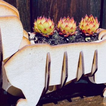 Intra απο ξύλο plywood Χρώμα wenge 3mm-4mm πάχος - Dachshund Planter Δίασταση 15x15 cm INTRAFABR-122589785 - Image 1