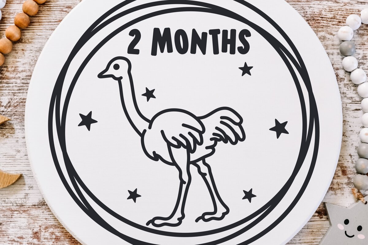 Intra απο ξύλο plywood  Χρώμα wenge 3mm-4mm πάχος - Desert Animals Baby Monthly Milestone Δίασταση 20x20 cm INTRAFABR-114061215