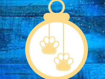 Intra απο ξύλο plywood  Χρώμα wenge 3mm-4mm πάχος - Χριστουγεννιάτικο στολίδι σκύλου ό λέιζερ τοίχου Δίασταση 6x6 cm INTRAFABR-122810288 - Image 2