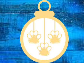 Intra απο ξύλο plywood  Χρώμα wenge 3mm-4mm πάχος - Χριστουγεννιάτικο στολίδι σκύλου ό λέιζερ τοίχου Δίασταση 6x6 cm INTRAFABR-122876412 - Image 2