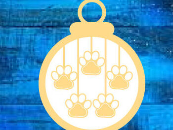 Intra απο ξύλο plywood Χρώμα wenge 3mm-4mm πάχος - Χριστουγεννιάτικο στολίδι σκύλου ό λέιζερ τοίχου Δίασταση 6x6 cm INTRAFABR-122876456 - Image 2