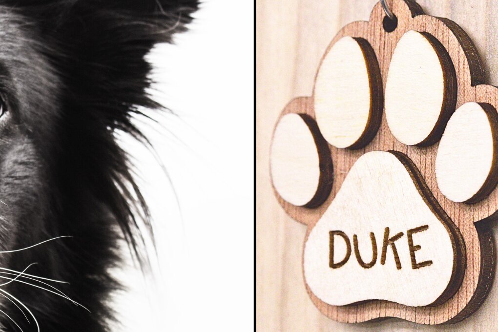 Intra απο ξύλο plywood  Χρώμα wenge 3mm-4mm πάχος - Μπρελόκ με πόδι σκύλου με πρότυπο κόλλησης Δίασταση 4x4 cm INTRAFABR-104535507