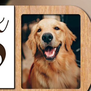 Intra απο ξύλο plywood  Χρώμα wenge 3mm-4mm πάχος - κοπής με λέιζερ για κορνίζα σκύλου Δίασταση 20x25 cm INTRAFABR-124401905 - Image 1