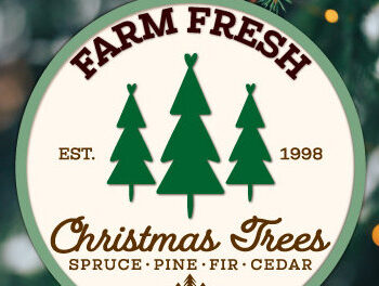 Intra απο ξύλο plywood  Χρώμα wenge 3mm-4mm πάχος - Farm Fresh Στολίδι Χριστουγεννιάτικου Δέντρου Δίασταση 6x6 cm INTRAFABR-73049029 - Image 3