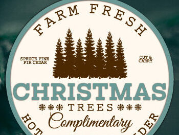 Intra απο ξύλο plywood  Χρώμα wenge 3mm-4mm πάχος - Farm Fresh Στολίδι Χριστουγεννιάτικου Δέντρου Δίασταση 6x6 cm INTRAFABR-21932014 - Image 15