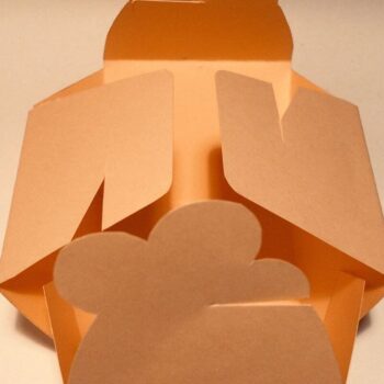 Intra απο ξύλο plywood Χρώμα wenge 3mm-4mm πάχος - Κουτί λουλουδιών Δίασταση 30x20 cm INTRAFABR-42993196 - Image 6