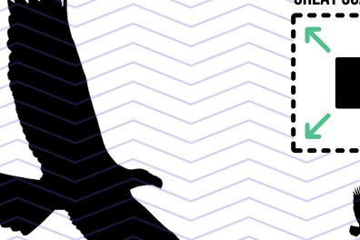 1758739286_Flying-Eagles-SVG-PNG-Graphics-76548280-3