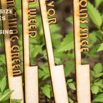 Intra απο ξύλο plywood  Χρώμα wenge 3mm-4mm πάχος - Διασκεδαστικό Βότανο φυτών Ετικέτες κοπής με λέιζερ Δίασταση 7x0 cm INTRAFABR-26016388 - Image 2