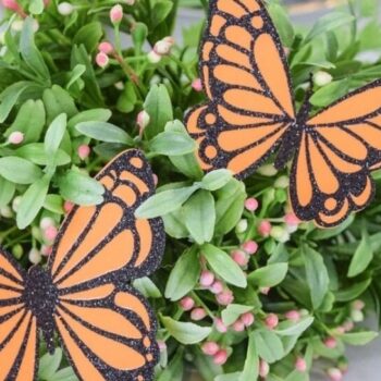 Intra απο ξύλο plywood  Χρώμα wenge 3mm-4mm πάχος - Πρότυπα για πεταλούδες κήπου Δίασταση 30x20 cm INTRAFABR-119418807 - Image 4