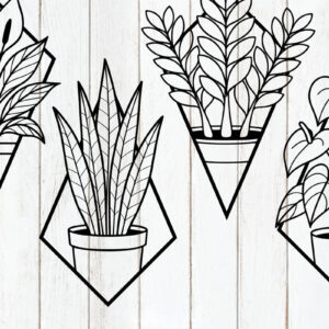 Intra απο ξύλο plywood  Χρώμα wenge 3mm-4mm πάχος - Σετ γεωμετρικό φυτό εσωτερικού χώρου Δίασταση 6x6 cm INTRAFABR-115722319