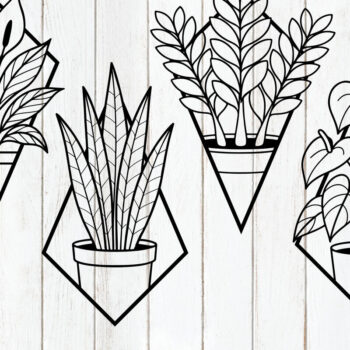 Intra απο ξύλο plywood  Χρώμα wenge 3mm-4mm πάχος - Σετ γεωμετρικό φυτό εσωτερικού χώρου Δίασταση 6x6 cm INTRAFABR-115722319 - Image 1