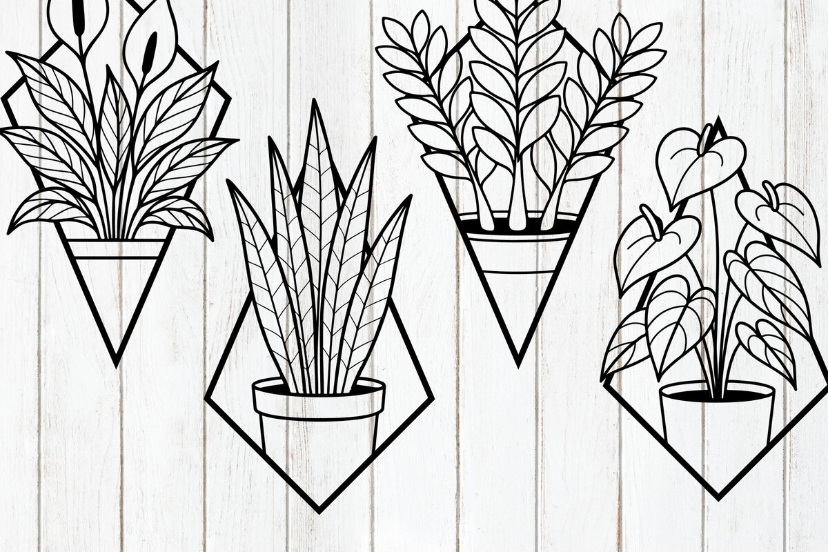 Intra απο ξύλο plywood  Χρώμα wenge 3mm-4mm πάχος - Σετ γεωμετρικό φυτό εσωτερικού χώρου Δίασταση 6x6 cm INTRAFABR-115722319