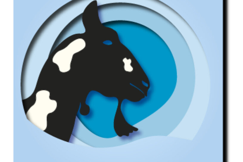 Intra απο ξύλο plywood  Χρώμα wenge 3mm-4mm πάχος - Κατσίκα Δίασταση 20x20 cm INTRAFABR-92819720