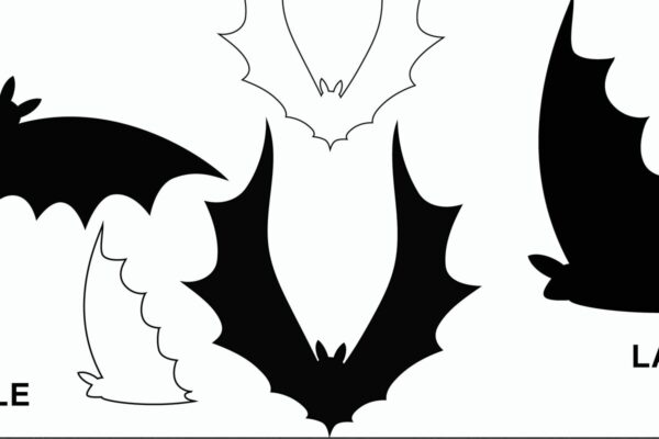 1758749108_Halloween-Bat-SVG-Bundle-Laser-Cut-Graphics-34292261-1-1