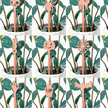 Intra απο ξύλο plywood  Χρώμα wenge 3mm-4mm πάχος - Halloween Plant Stakes Δίασταση 15x15 cm INTRAFABR-101748925 - Image 1