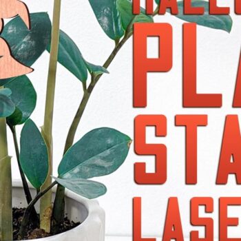 Intra απο ξύλο plywood  Χρώμα wenge 3mm-4mm πάχος - Halloween Plant Stakes Δίασταση 15x15 cm INTRAFABR-101748925 - Image 6