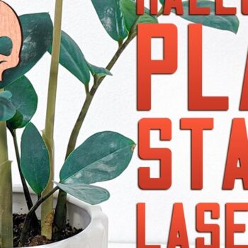 Intra απο ξύλο plywood  Χρώμα wenge 3mm-4mm πάχος - Halloween Plant Stakes Δίασταση 15x15 cm INTRAFABR-101656477 - Image 1