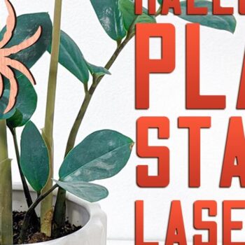 Intra απο ξύλο plywood  Χρώμα wenge 3mm-4mm πάχος - Halloween Plant Stakes Δίασταση 15x15 cm INTRAFABR-101656841 - Image 1