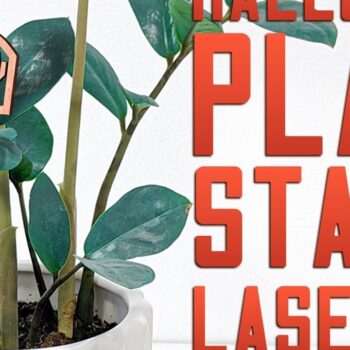 Intra απο ξύλο plywood  Χρώμα wenge 3mm-4mm πάχος - Halloween Plant Stakes Δίασταση 15x15 cm INTRAFABR-117902673 - Image 1