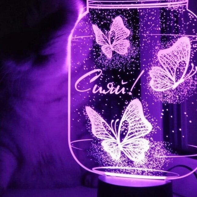 Intra απο ξύλο plywood 3mm-4mm πάχος – ξύλο χαρακτικής λέιζερ 3D Illusion Lamp Butterfly in Jar 30x30 cm INTRAVECTRY-MY554955