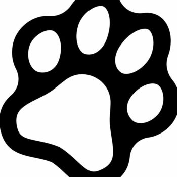 Intra απο ξύλο plywood 3mm-4mm πάχος – Σχήμα αποκοπής εκτύπωσης ποδιών για χειροτεχνία 15x15 cm INTRAVECTRY-MY542795 - Image 3