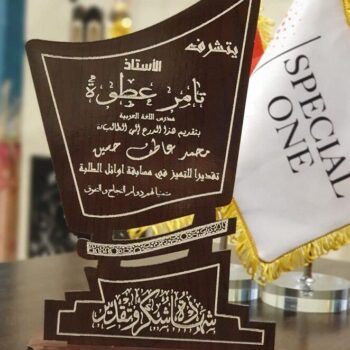 Intra απο ξύλο plywood 3mm-4mm πάχος – Τρόπαιο Βραβείο Ξύλινου Σχολείου 30x30 cm INTRAVECTRY-MY554191 - Image 1