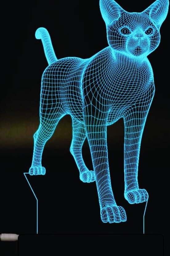 1759012938_laser-cut-and-engraved-cat-3d-illusion-ni_1