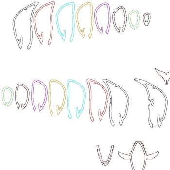 Intra απο ξύλο plywood 3mm-4mm πάχος – Κρεμαστό Ξύλινο Φωτιστικό Φάλαινας ξύλο DXF απόχρωση 25x25 cm INTRAVECTRY-MY555357 - Image 2