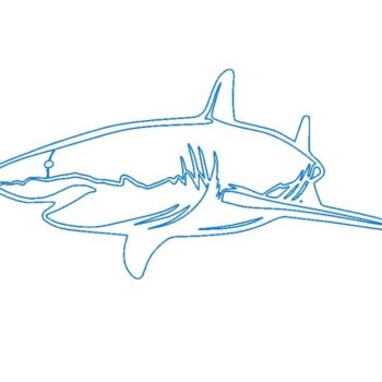 Intra απο ξύλο plywood 3mm-4mm πάχος – ξύλο Shark Metal Art Decor DXF 40x40 cm INTRAVECTRY-MY557216 - Image 2