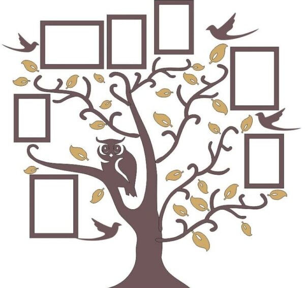 1759027252_owl-on-tree-branch-family-photo-frame-_1